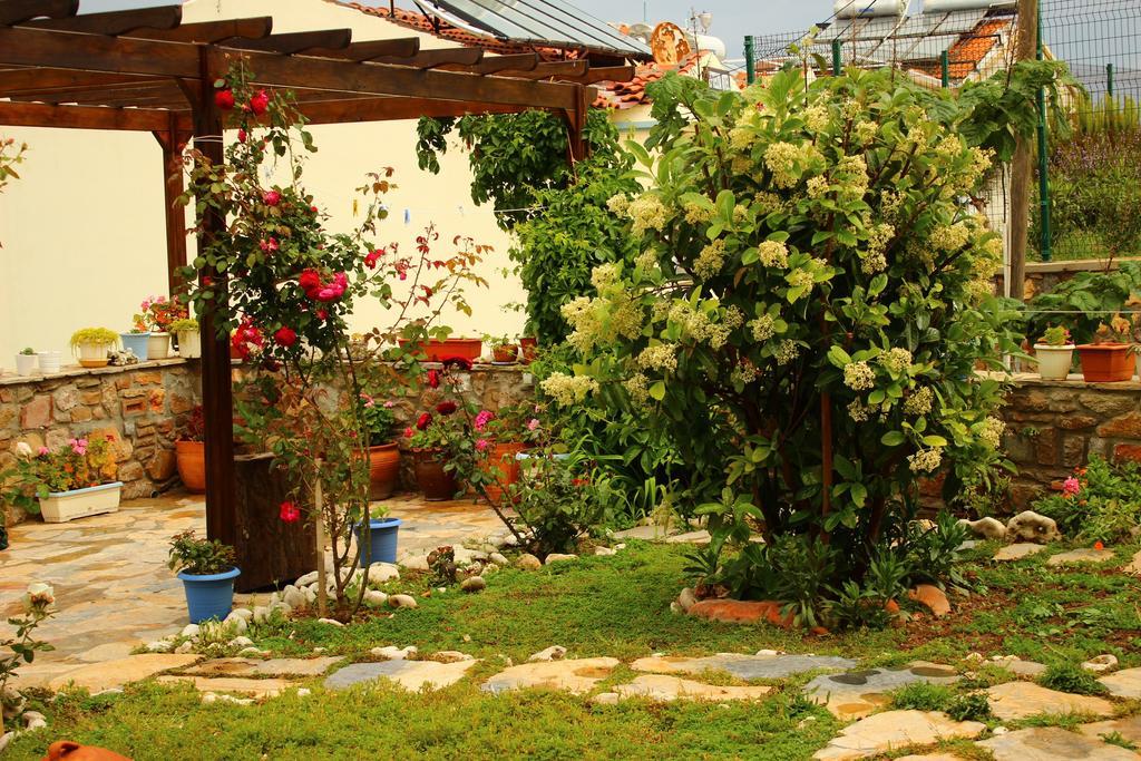 בוזקאדה Alesta Hotel מראה חיצוני תמונה