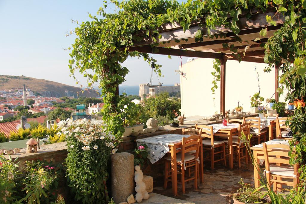 בוזקאדה Alesta Hotel מראה חיצוני תמונה