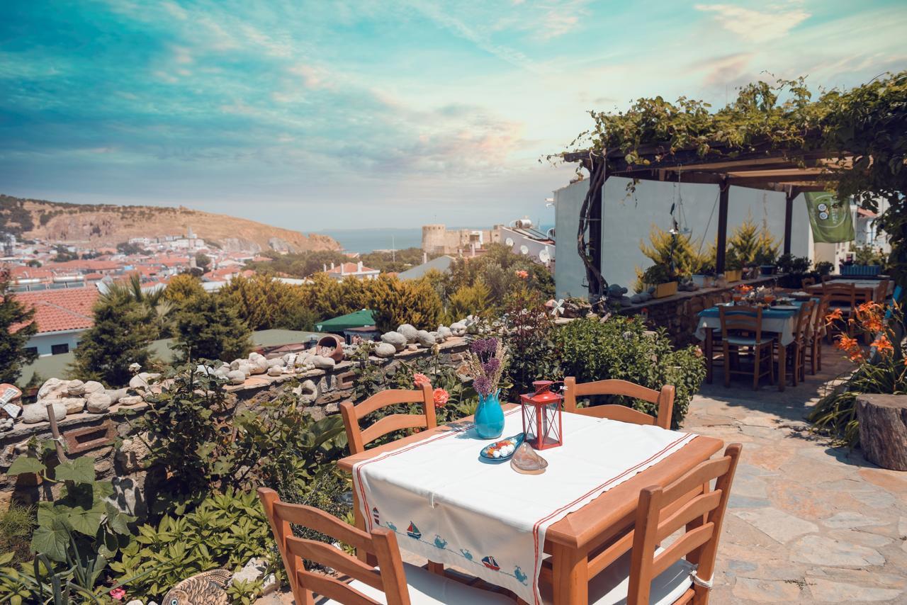 בוזקאדה Alesta Hotel מראה חיצוני תמונה